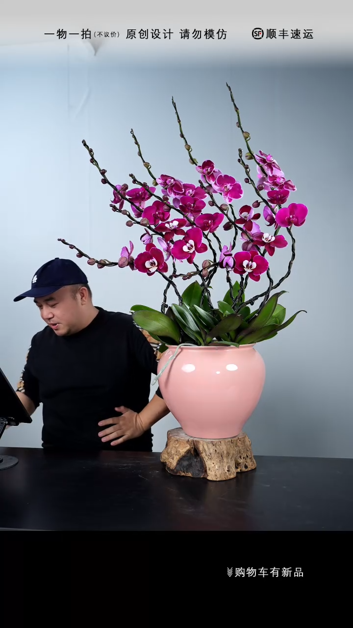 【闪购商品】058号链接【一物一拍】艺术盆景