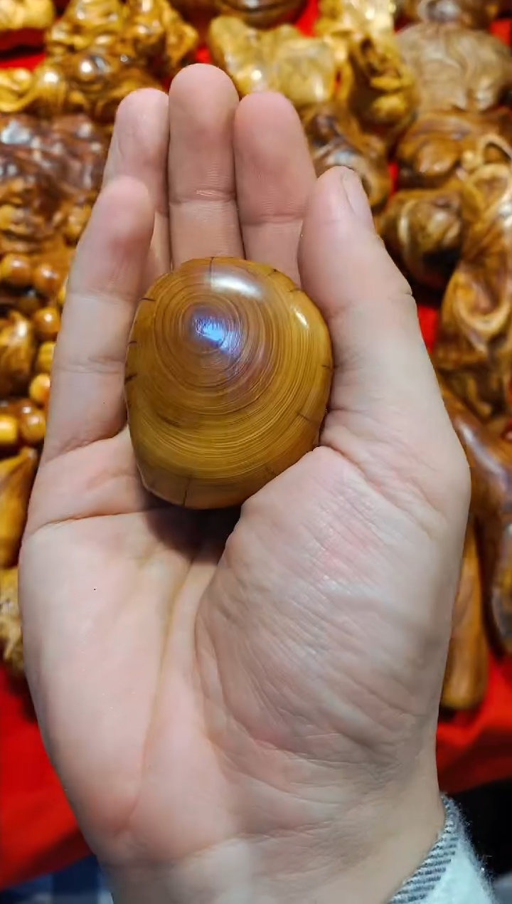 【闪购商品】柏木41崖柏崖柏崖柏崖柏崖柏