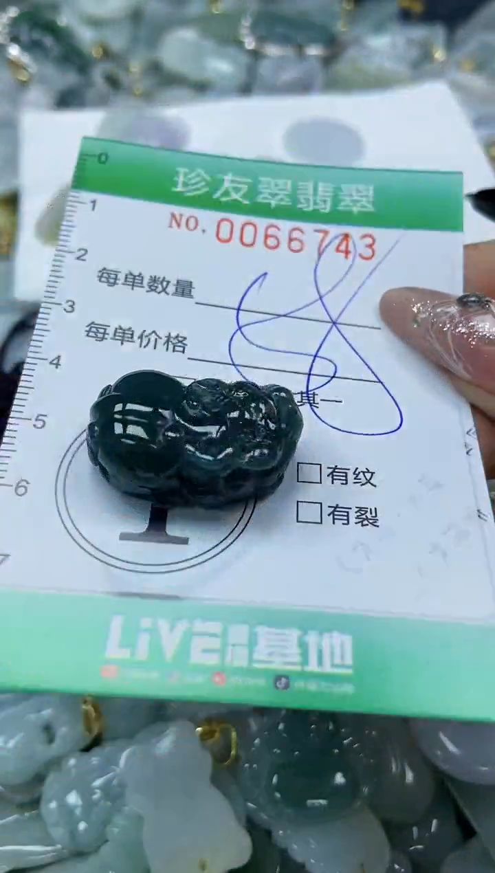 【闪购商品】翡翠颈饰未镶嵌闪购0066743