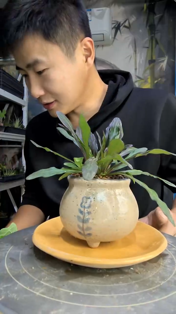 捏**吱中青园艺一物一拍122