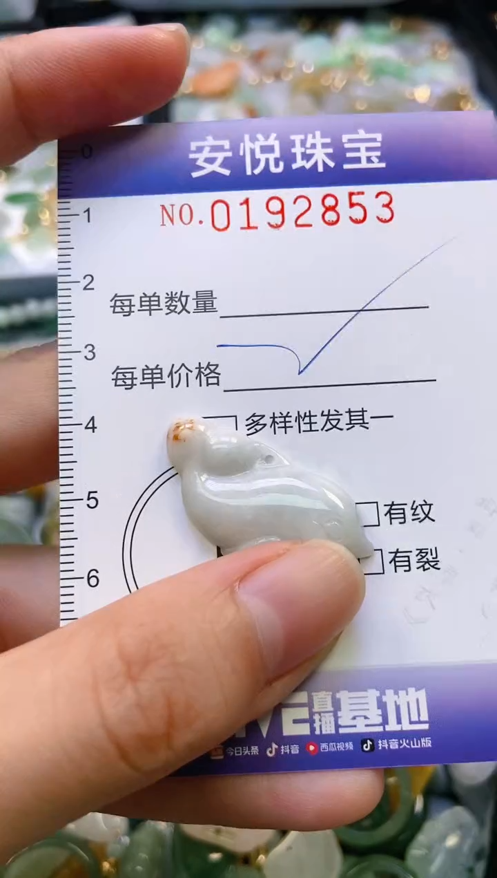 翡翠未镶嵌颈饰闪购0192853