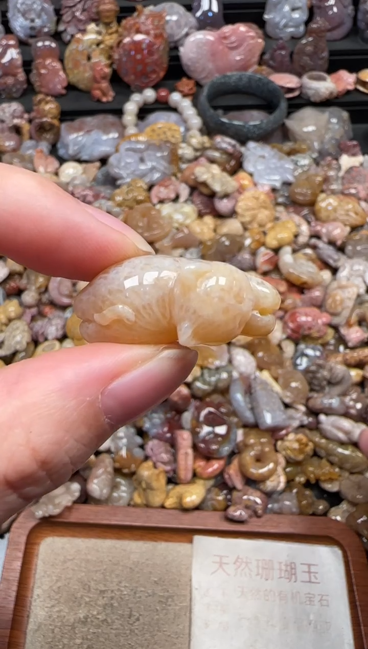 颈饰未镶嵌硅化珊瑚（珊瑚玉）262