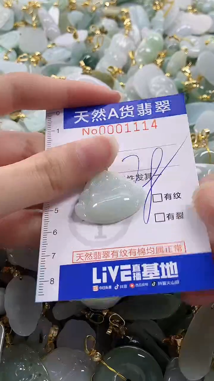 颈饰未镶嵌翡翠纯天然a货翡翠