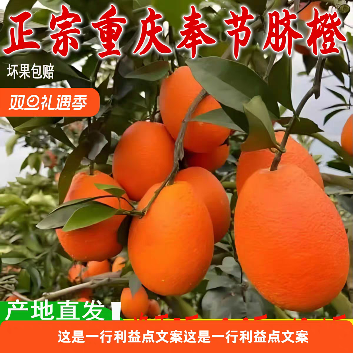 正宗重庆奉节脐橙【长虹/圆虹纽荷尔】新鲜应季水果现摘10斤装