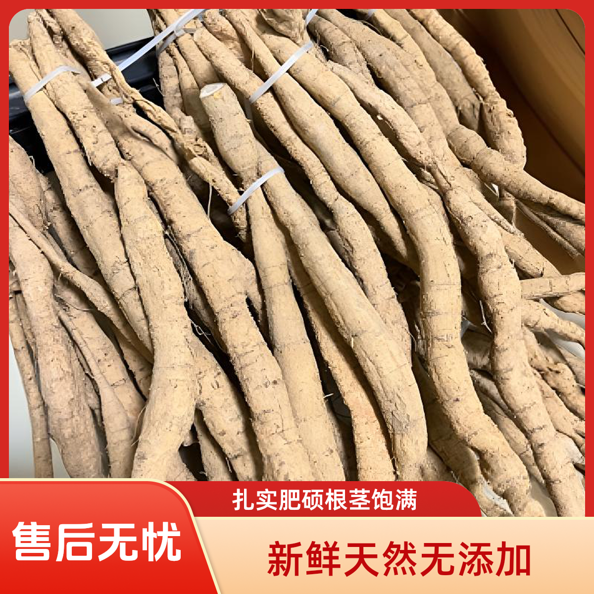 深山自然生长新鲜牛大力串牛煲汤泡酒优质靓料