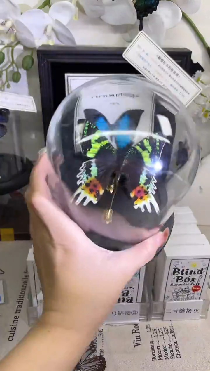 有机玻璃日月蛾玻璃球款