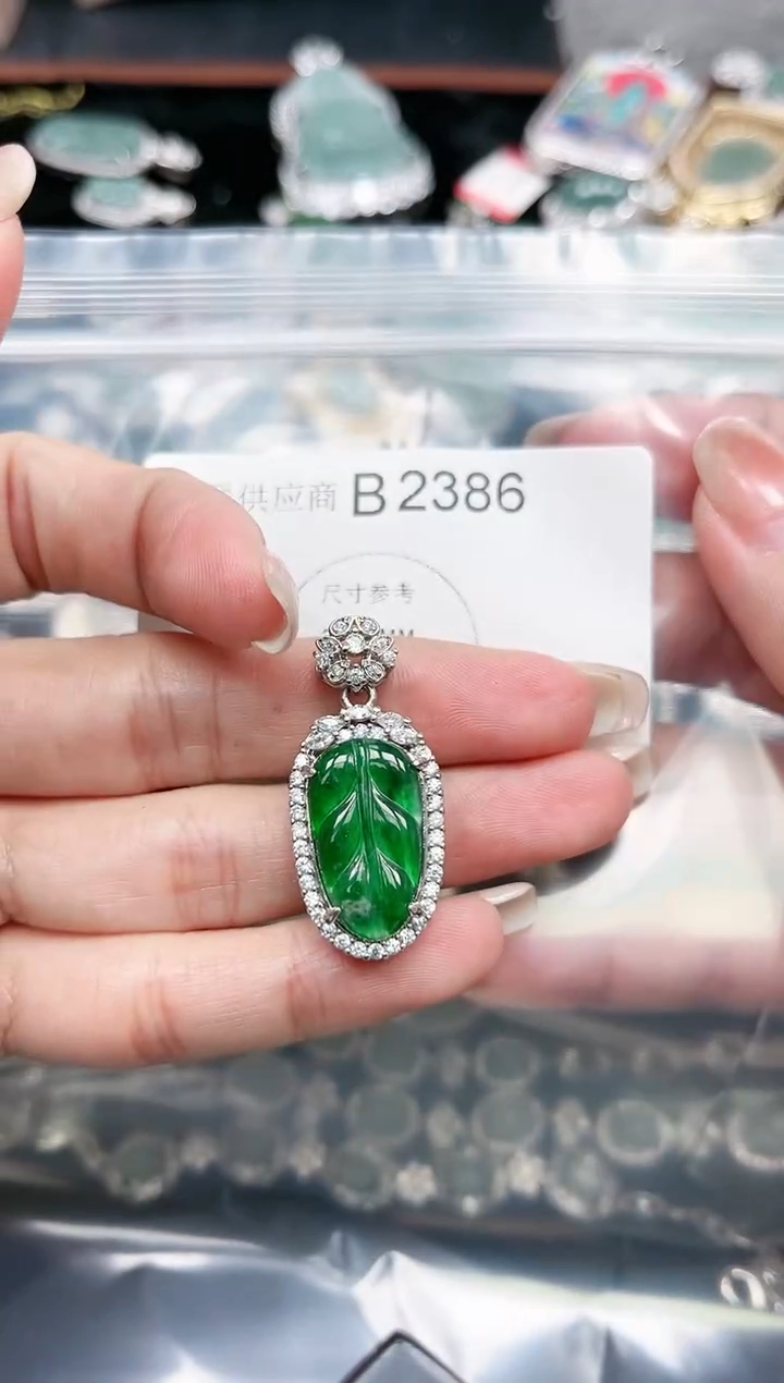 【闪购商品】翡翠颈饰未镶嵌赠皮绳2386