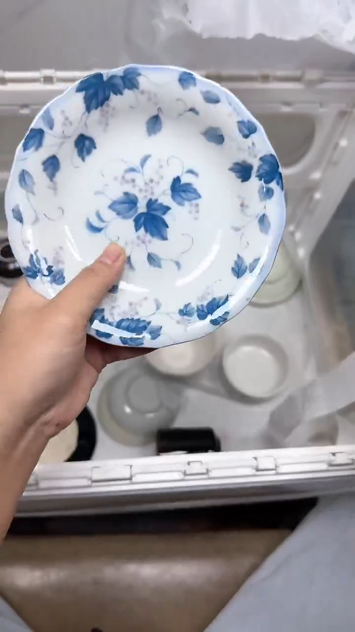 【闪购商品】123回流瓷器默认微瑕，18.8包邮