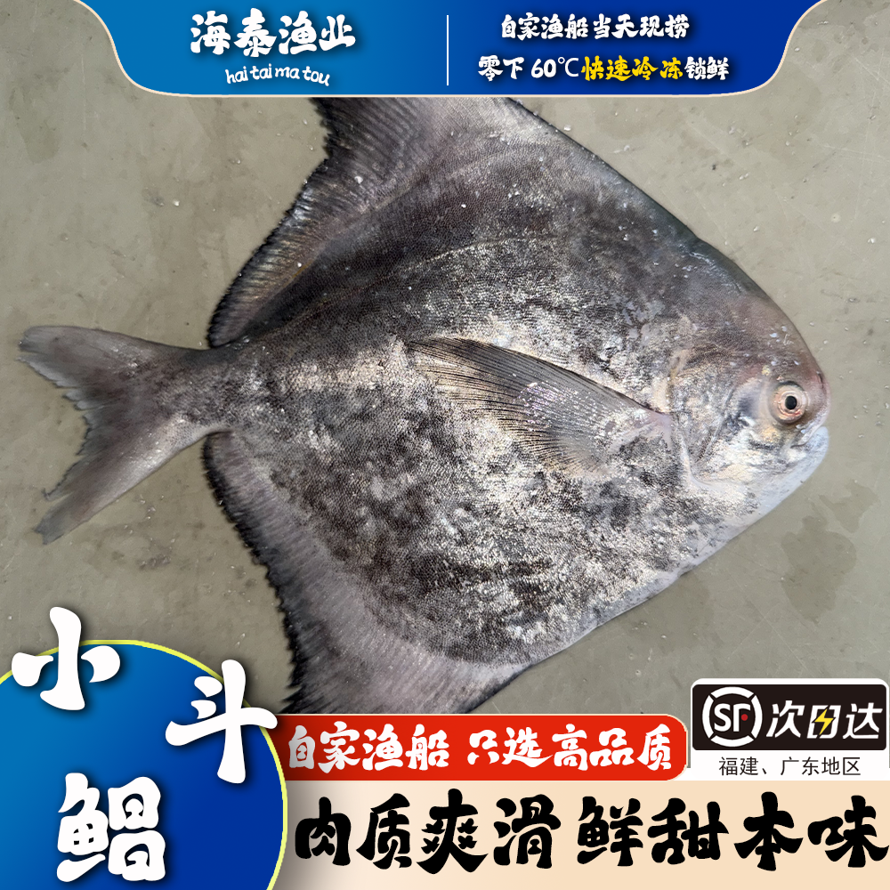 【小斗昌】海泰码头 自家渔船 深海捕捞 鲜活速冻 锁鲜冷链到家