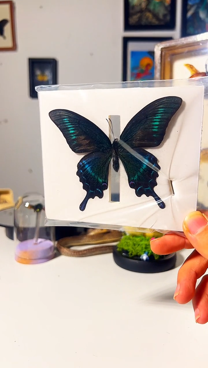 有机玻璃6848946948