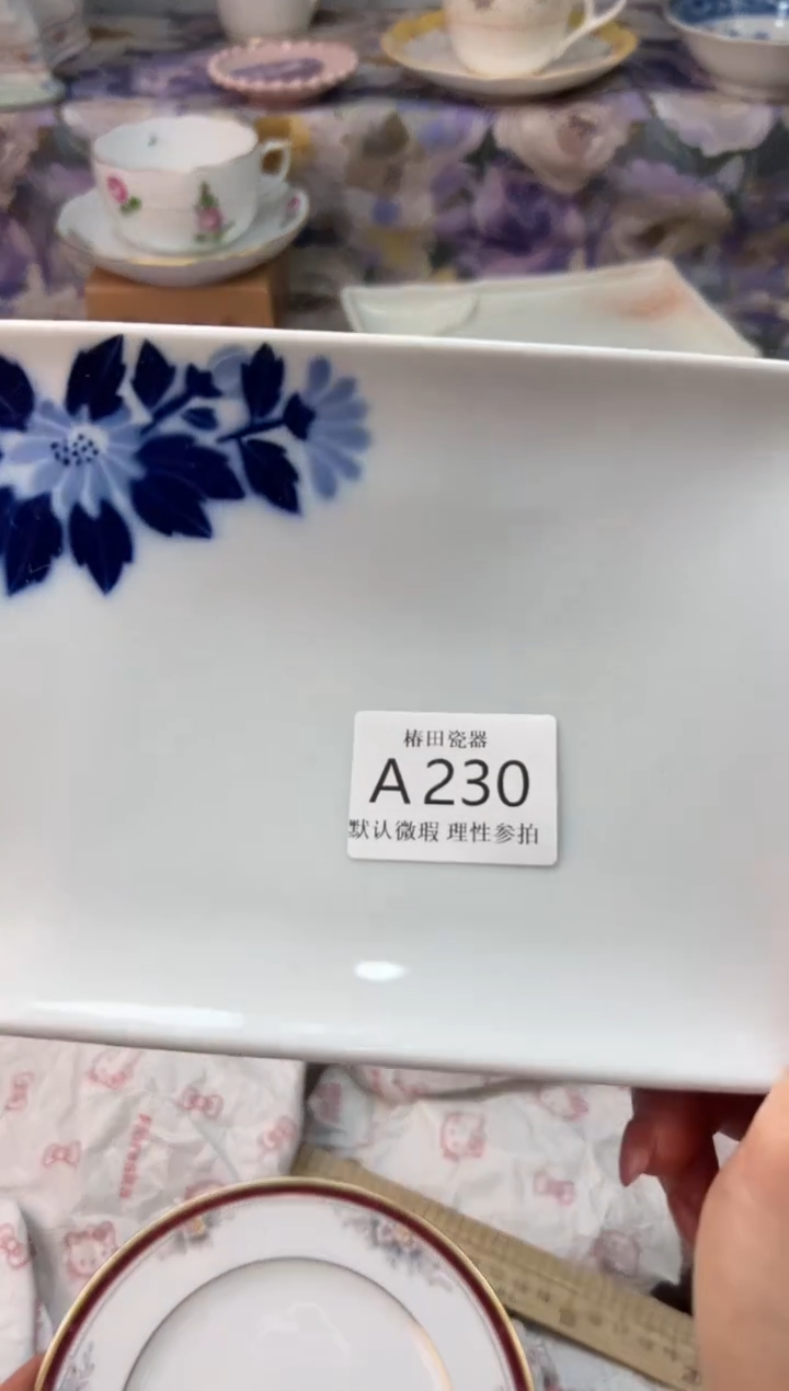 瓷片火****的瓷片瓷片          A 230