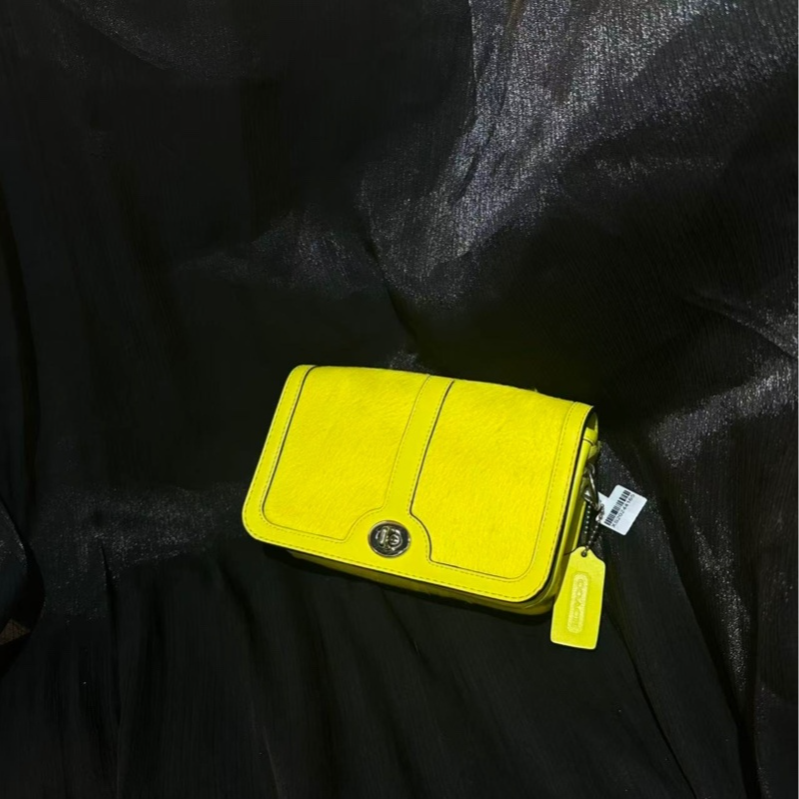 95新 COACH/蔻驰 乱乱子中古/女士/单肩包/105626