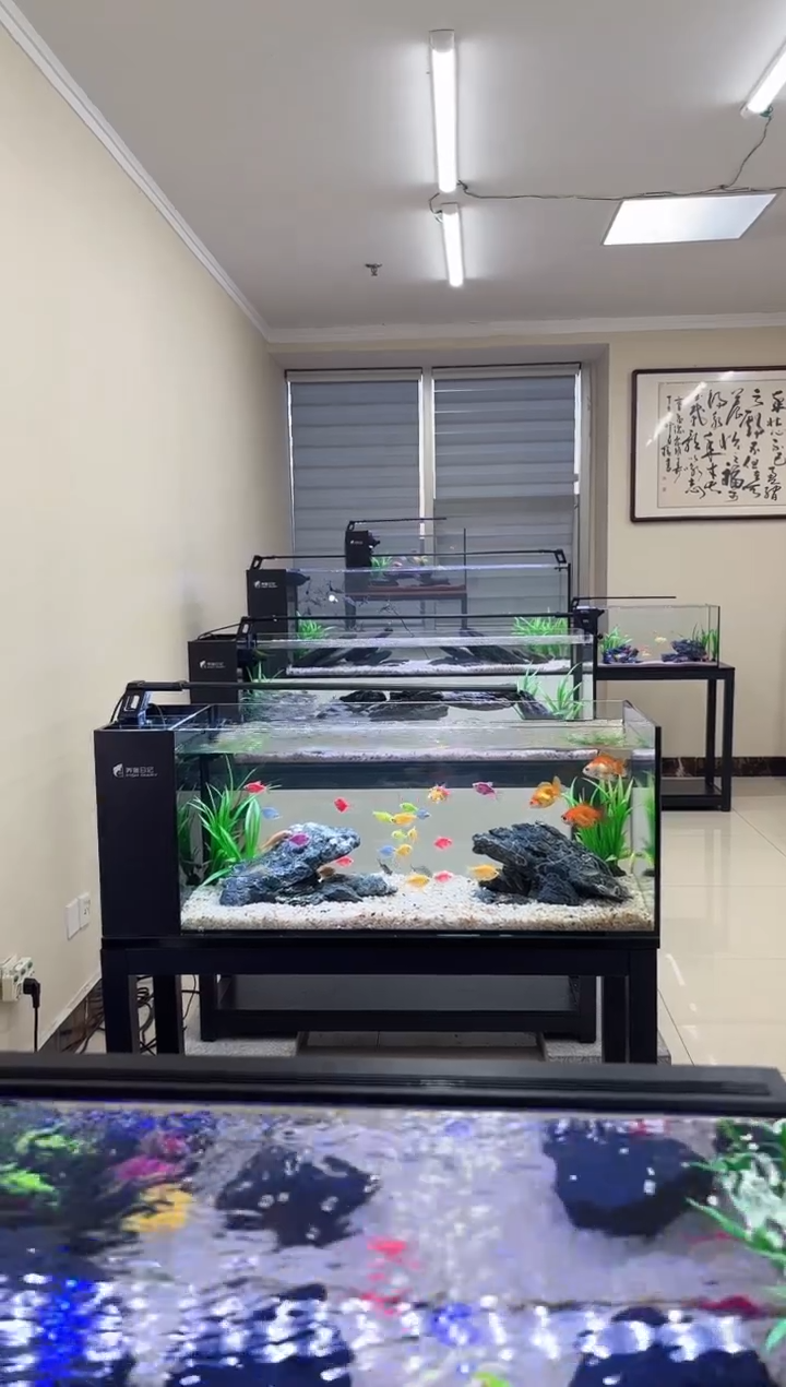 玻璃孔*胆70*30*30带造景*2