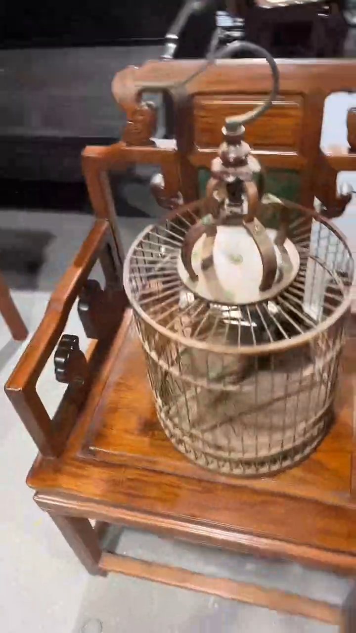 木简约淘木舍直播链接