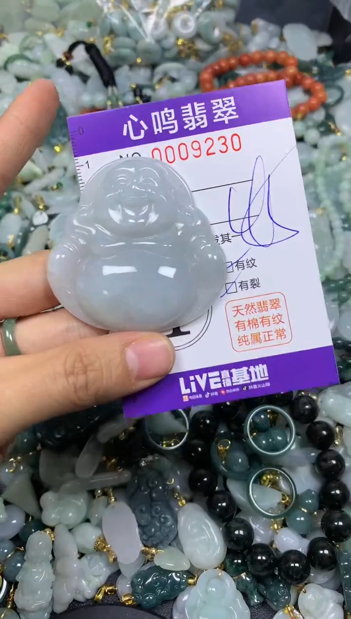 【闪购商品】翡翠颈饰未镶嵌闪购009230