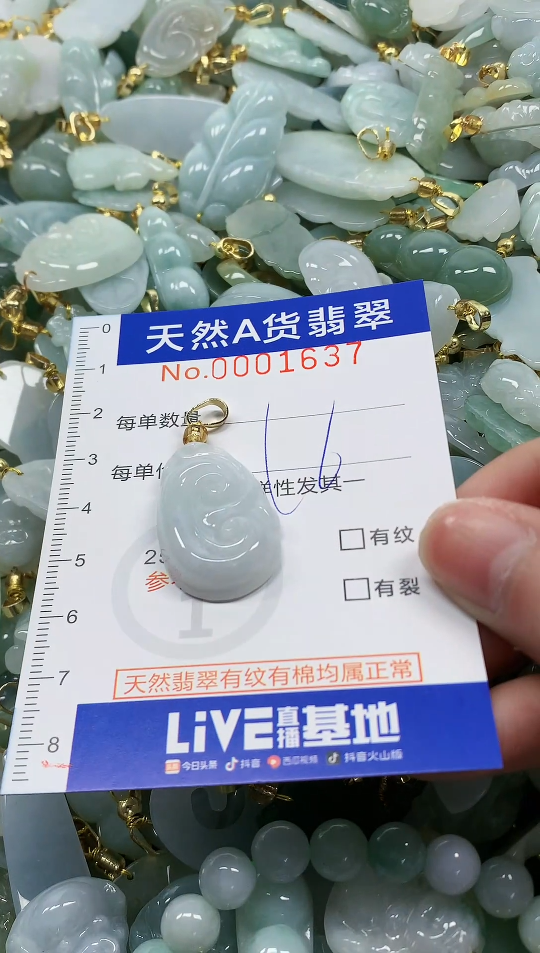 颈饰未镶嵌翡翠纯天然a货翡翠