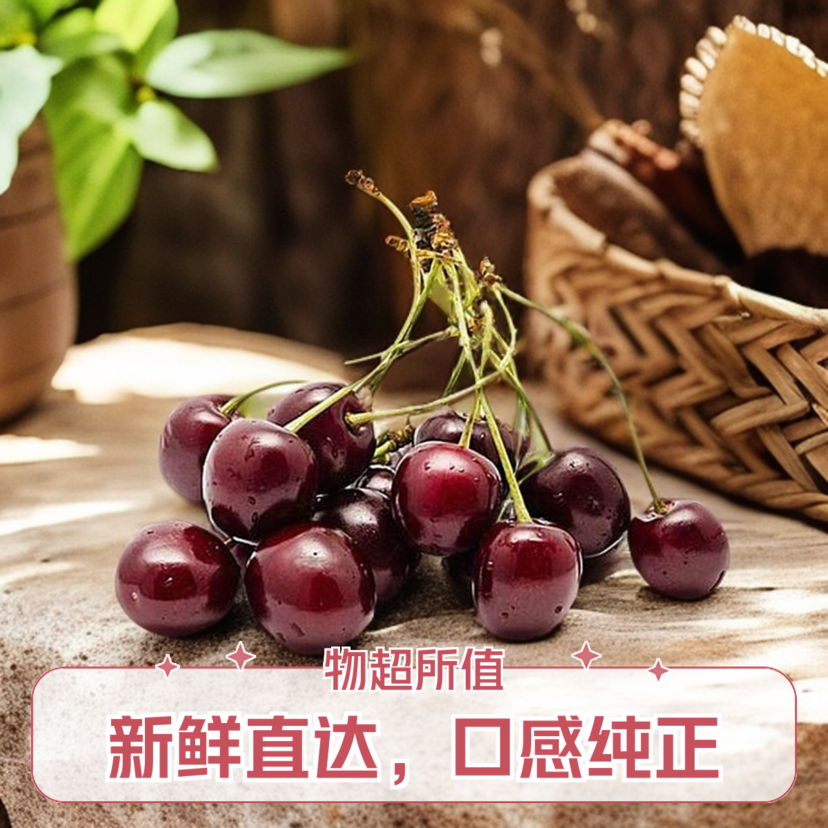 【健怡果 科迪亚】3JDD智利海运车厘子2/5/10斤脆甜黑车
