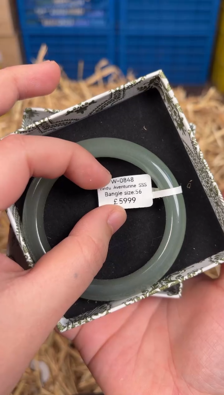 未镶嵌手镯石英质玉W0848