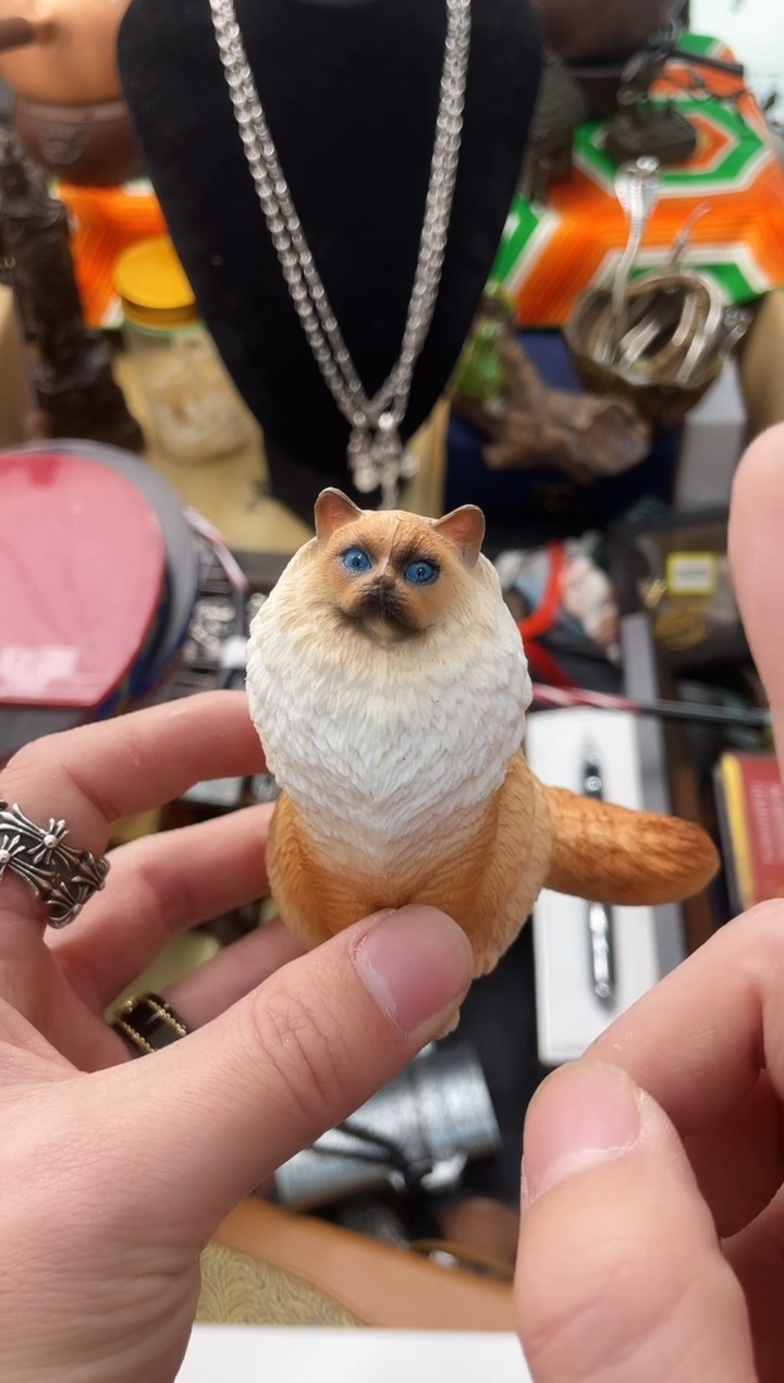 【闪购商品】瓷片永华世家亭亭总铺大朋