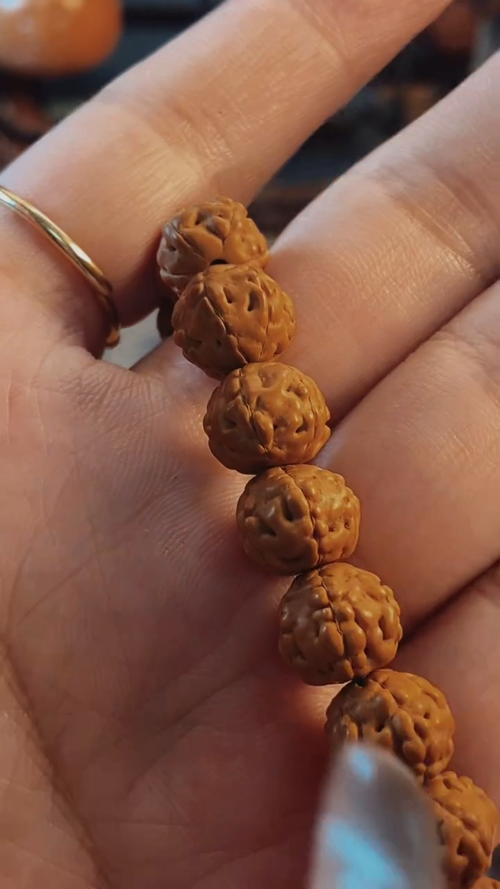 【闪购商品】金刚菩提手串六瓣龙鳞金蟾 9+