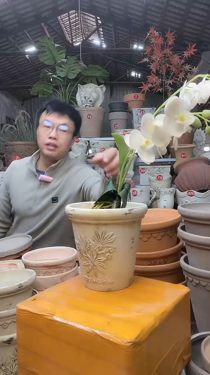 【闪购商品】缸1个15*15作旧陶香草无托无托