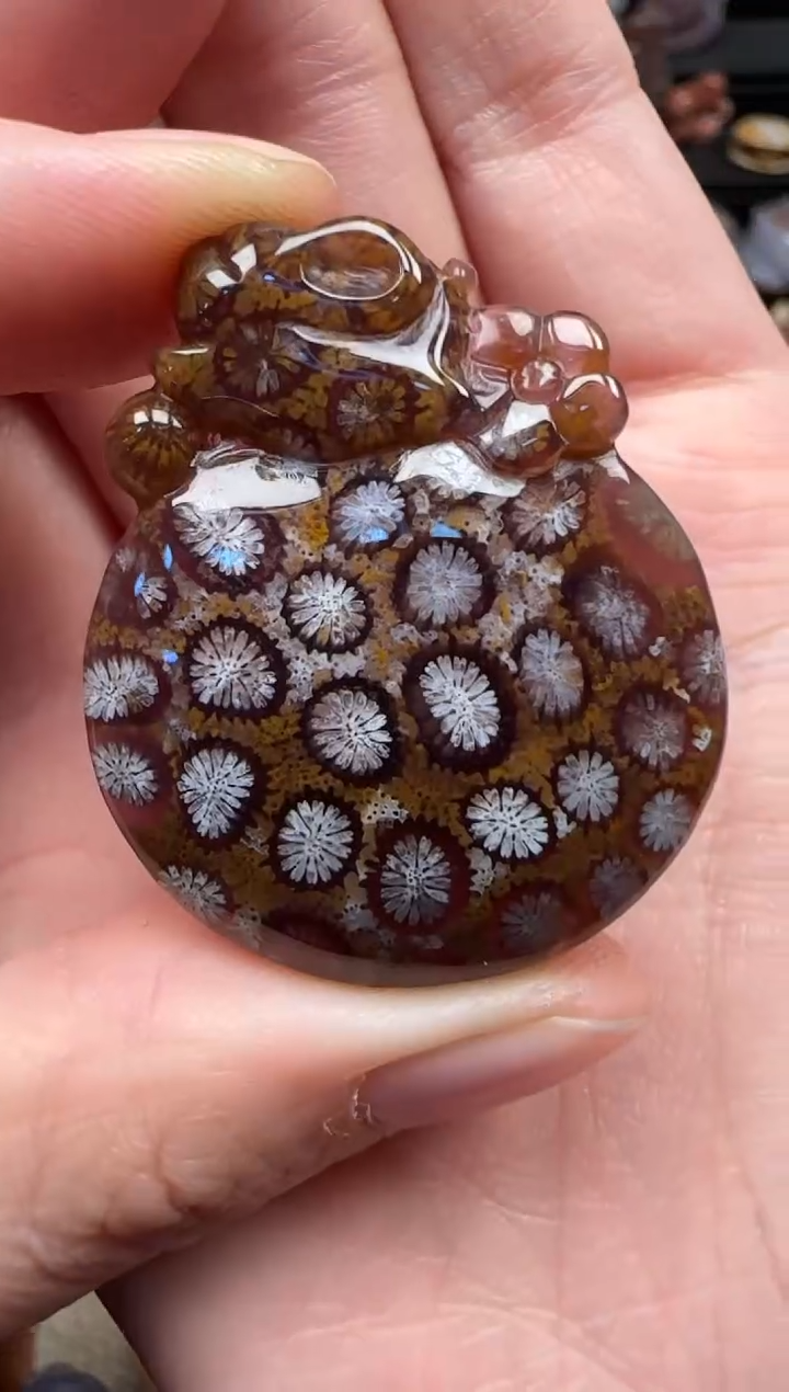 颈饰未镶嵌硅化珊瑚（珊瑚玉）789