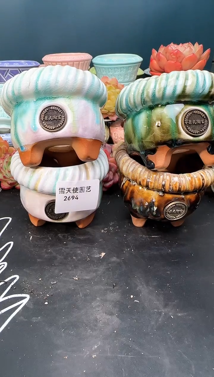 2 694 景天盆 4个 默认微瑕