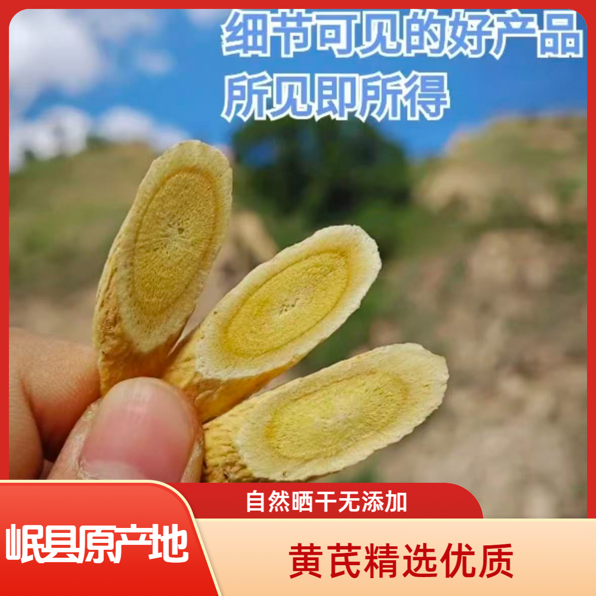 甘肃岷县 原产地 新货黄芪大片  精选品质 适合泡水煲汤 原味滋养