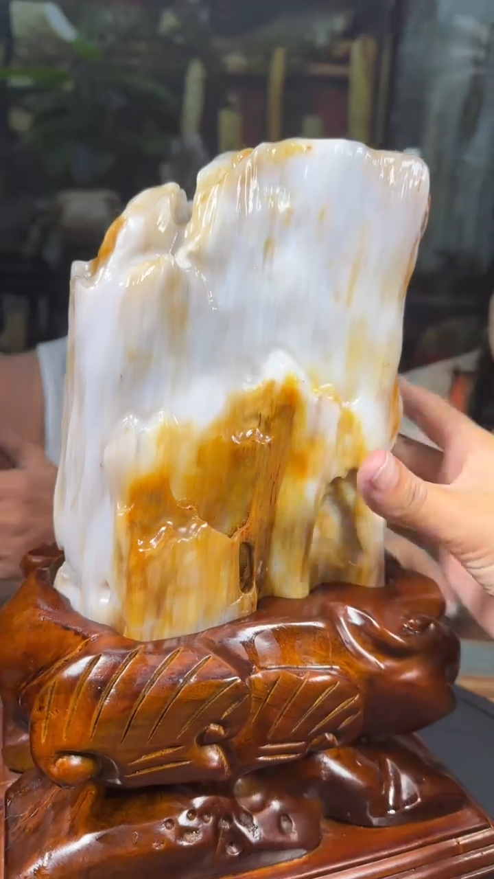 【闪购商品】硅化玉珠宝奇石未镶嵌拍一发一