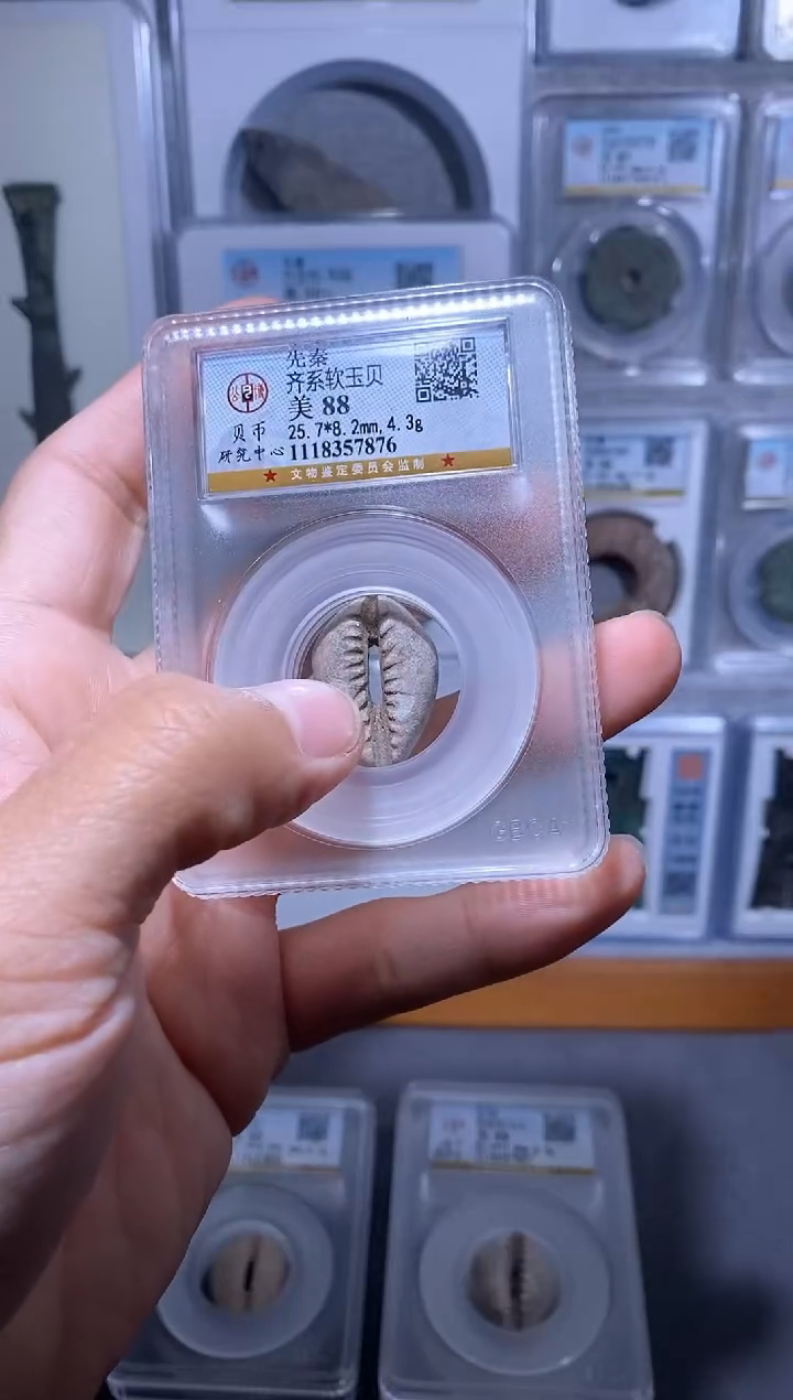 【闪购商品】铜品泉 齐系软玉贝