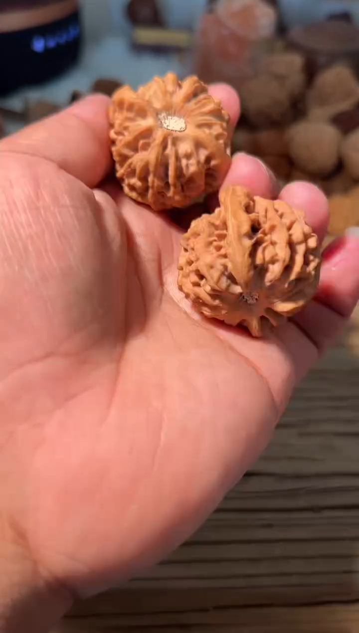 w*w www文玩核桃