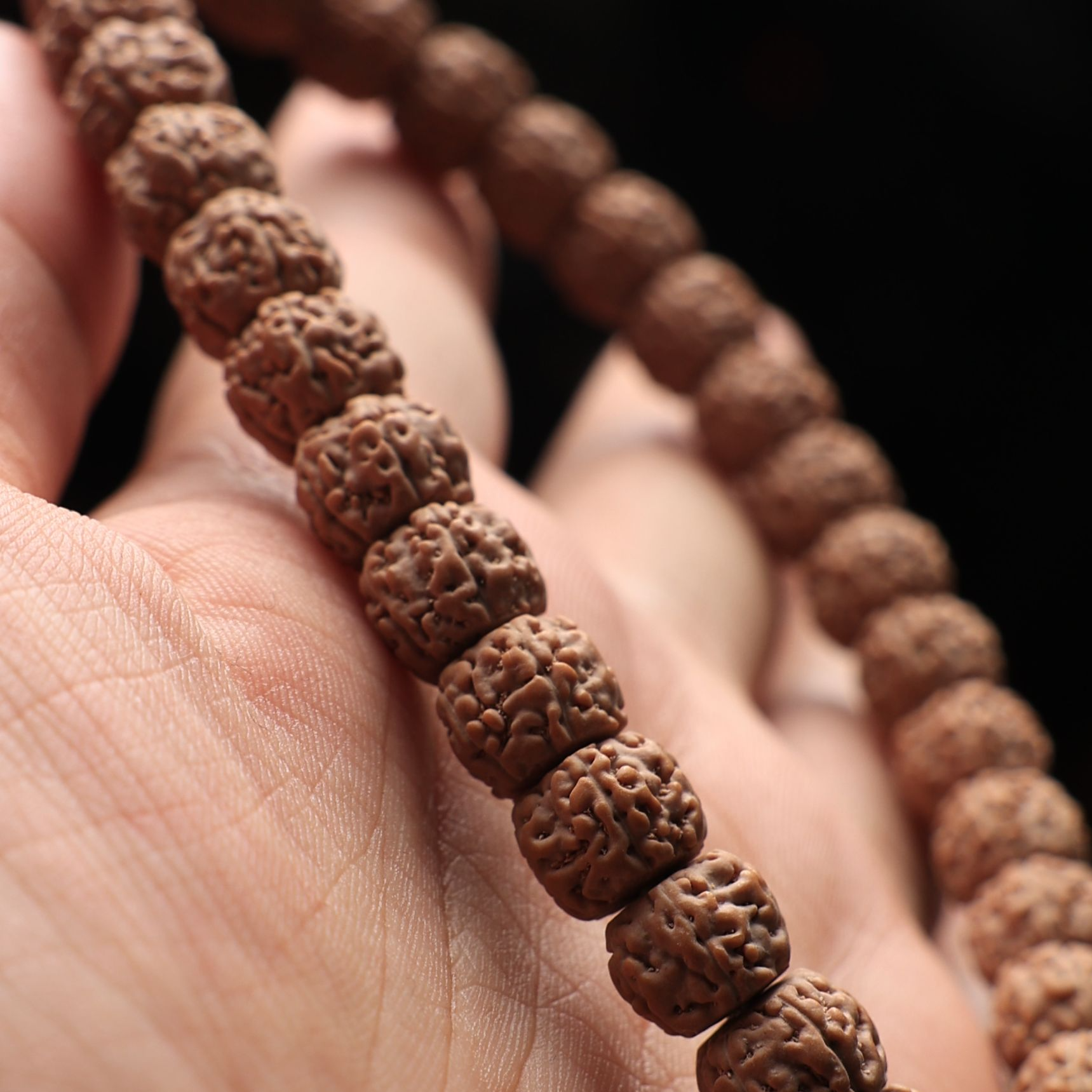 【编号S30】头货一代龙单圈小金刚尺寸8.5mm左右