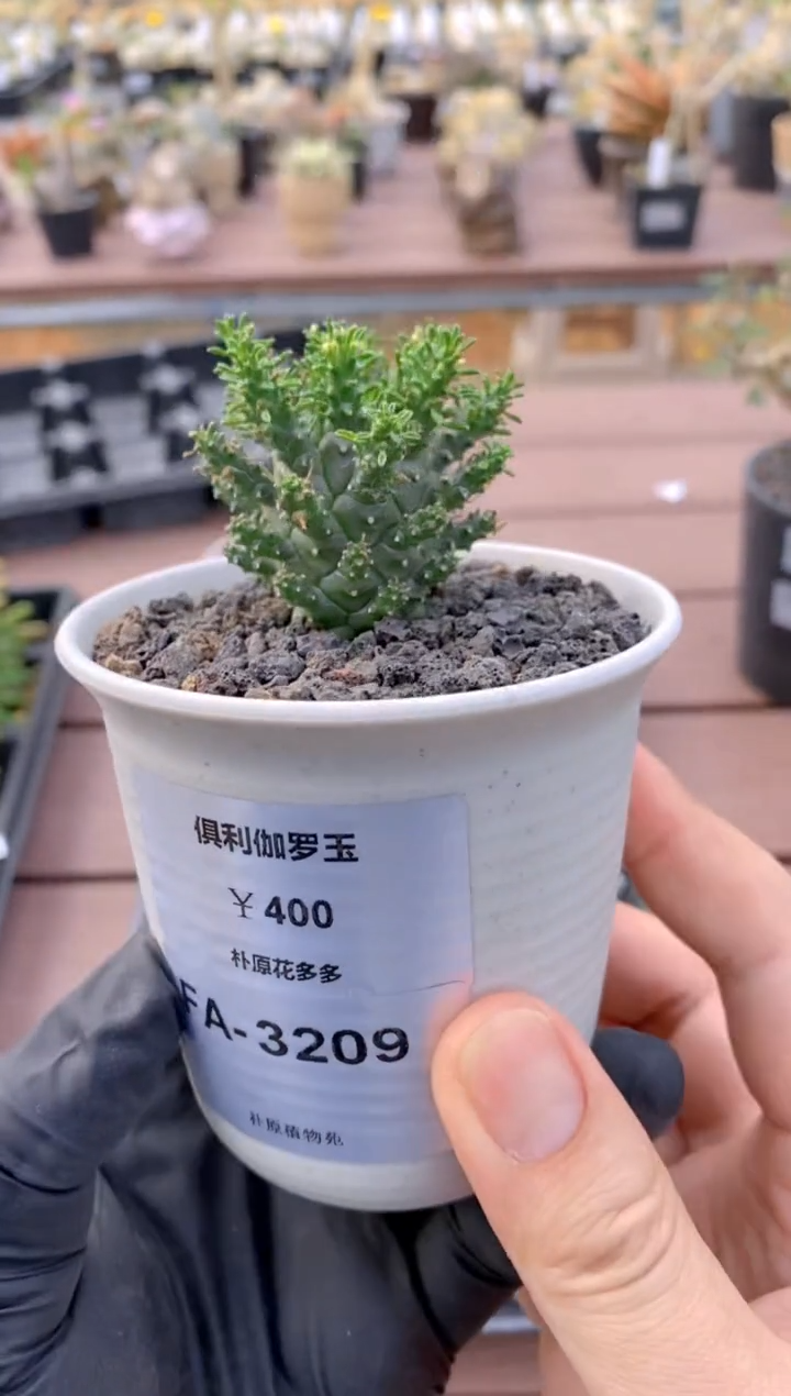 【闪购商品】俱利伽罗玉FA-3209