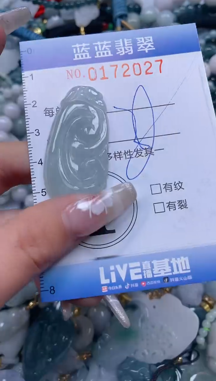 【闪购商品】翡翠颈饰未镶嵌闪购0172027