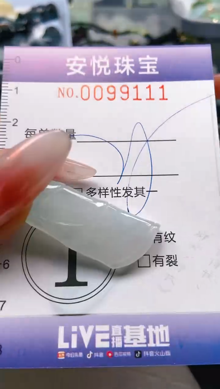 【闪购商品】翡翠颈饰未镶嵌闪购0099111