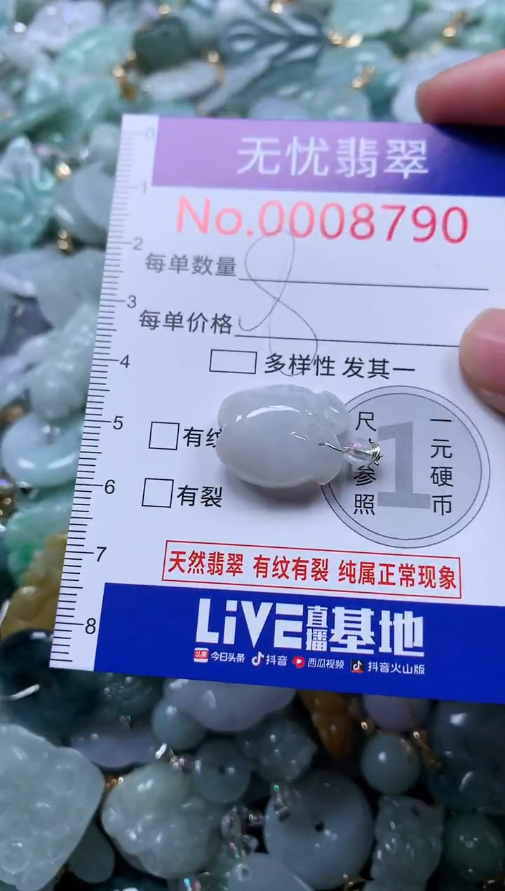 颈饰未镶嵌翡翠8790