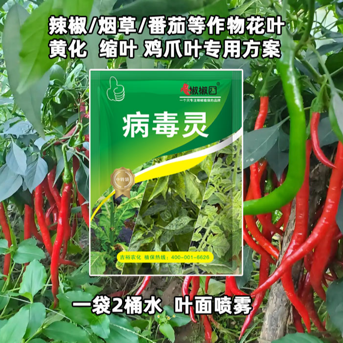 病毒灵辣椒番茄烤烟莴苣花叶卷叶缩叶鸡爪叶黄化叶专用套餐绿叶肥