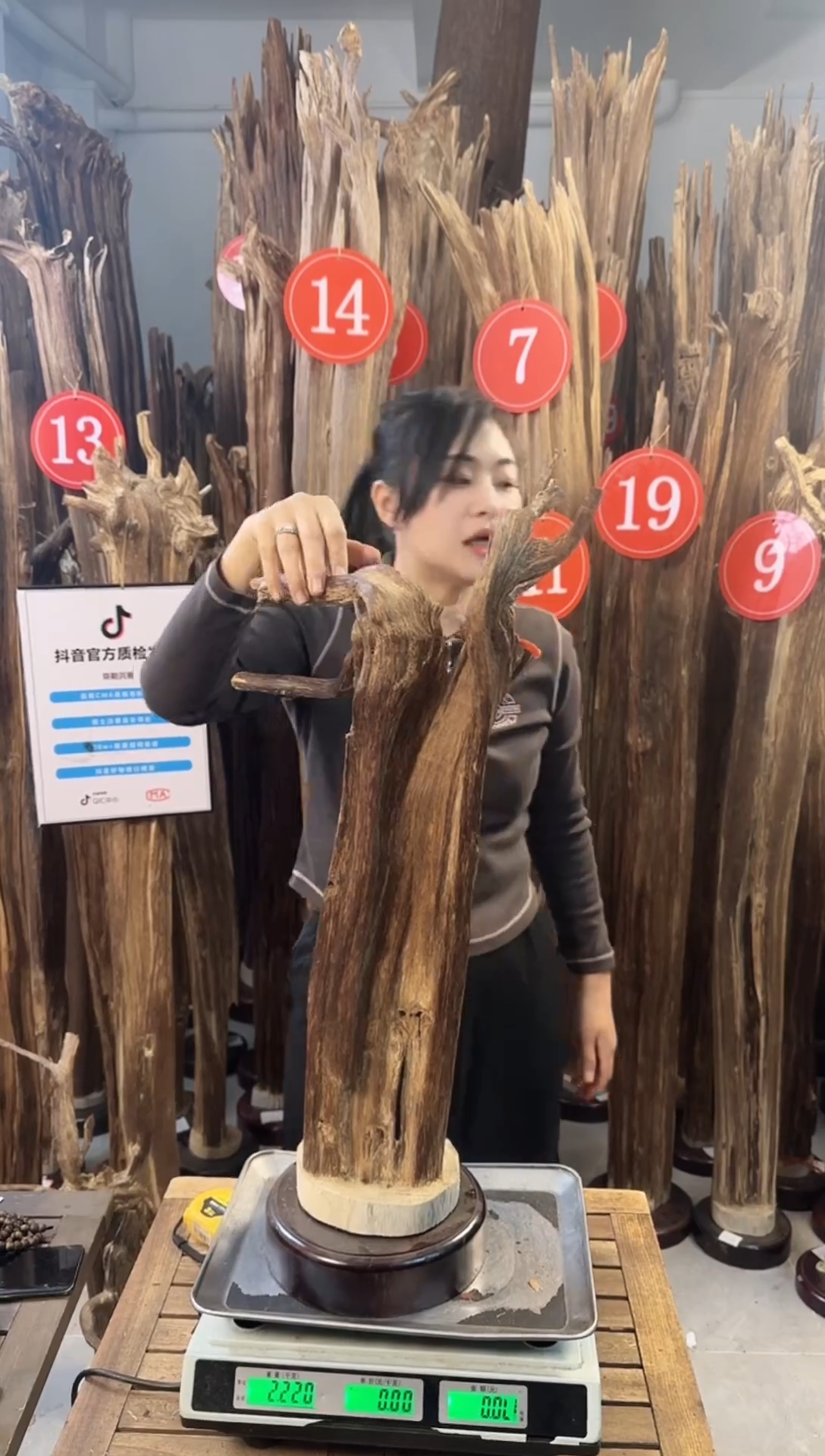 【闪购商品】沉香摆件沉香摆件多样性发一件23