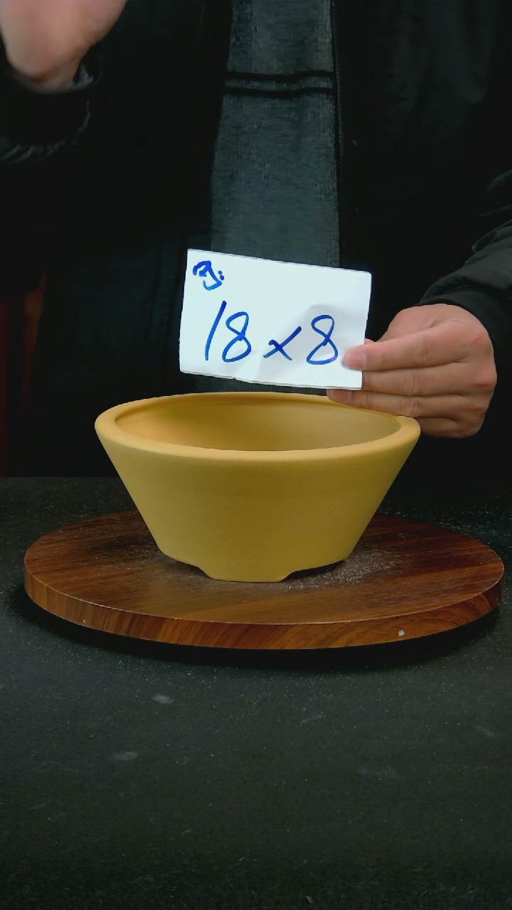 【闪购商品】紫砂N51