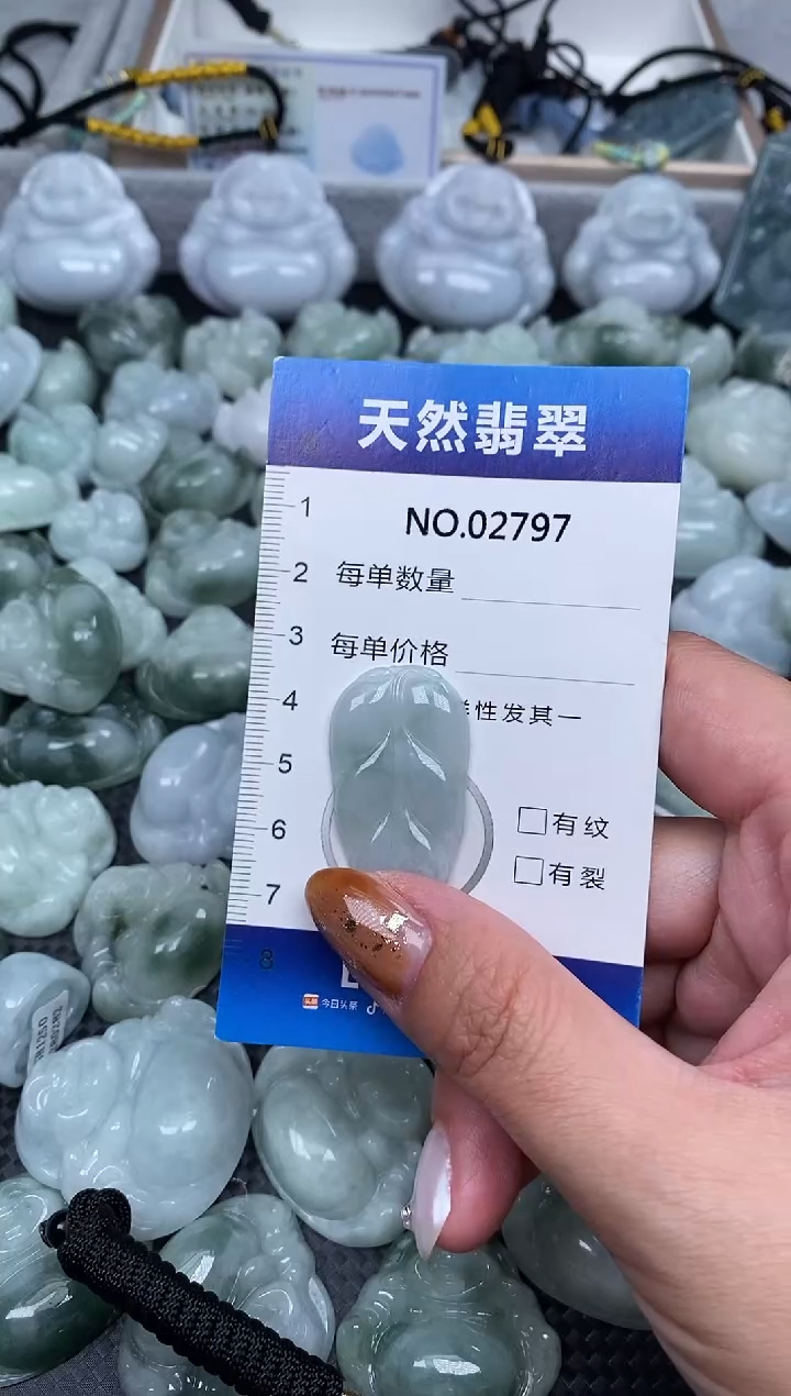 颈饰未镶嵌翡翠纯天然A货翡翠