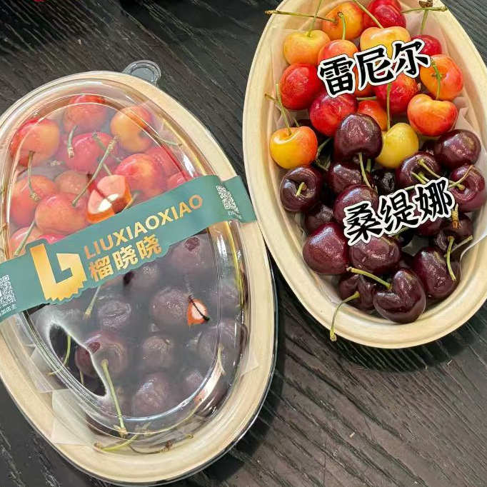 海运车厘子500克（雷尼尔+桑提娜）JJ智利