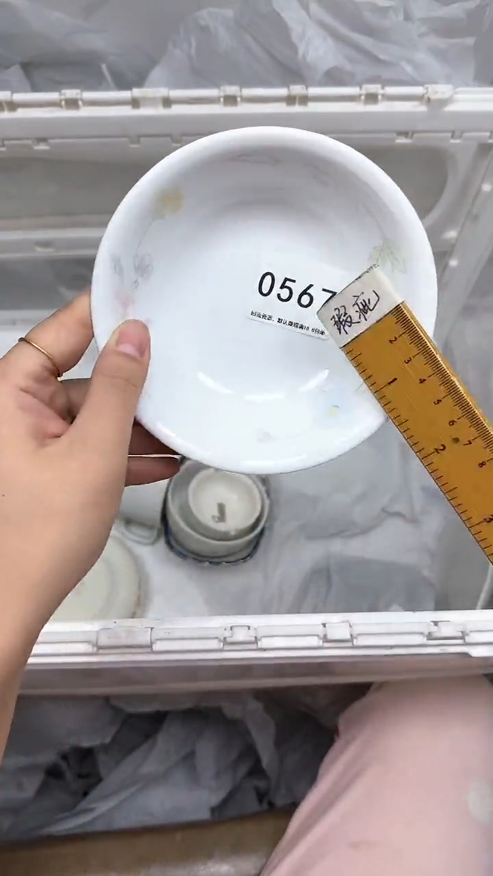 【闪购商品】567回流瓷器默认微瑕，18.8包邮