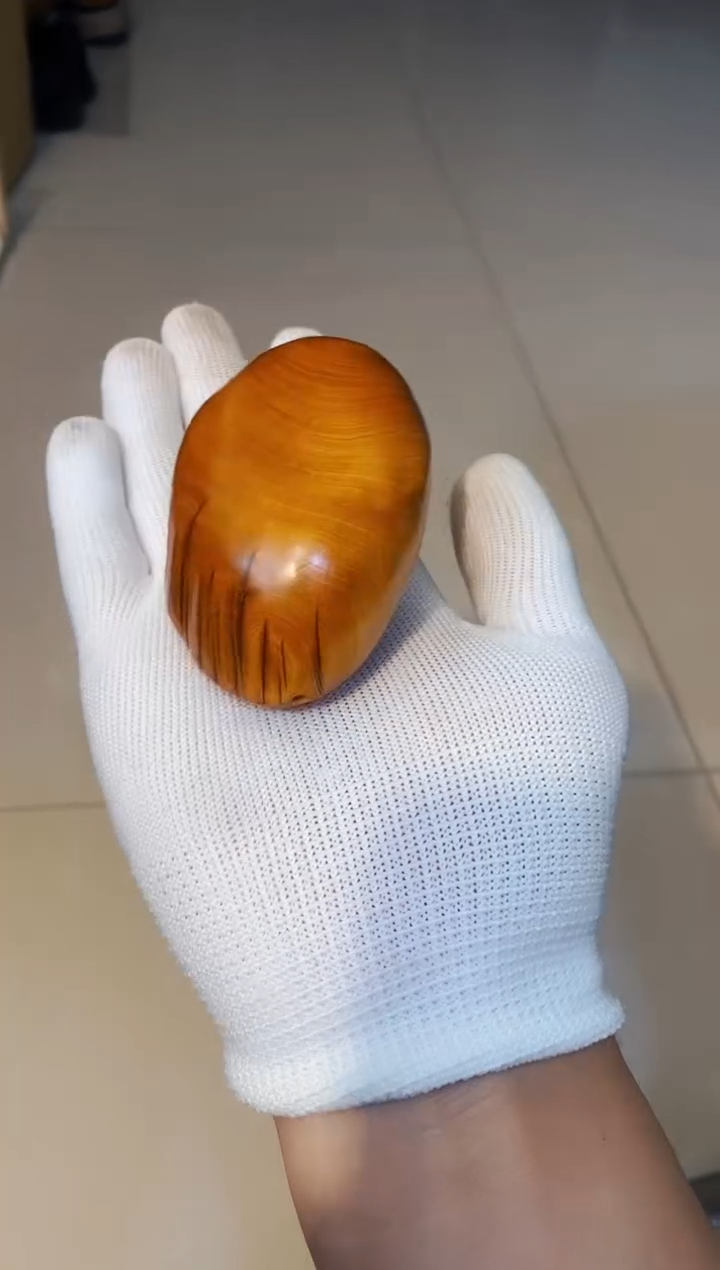 【闪购商品】柏木55崖柏崖柏崖柏崖柏崖柏