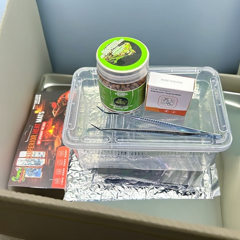 角蛙入门全套套装饲养套装加热垫蛙粮饲养盒镊子温湿度计