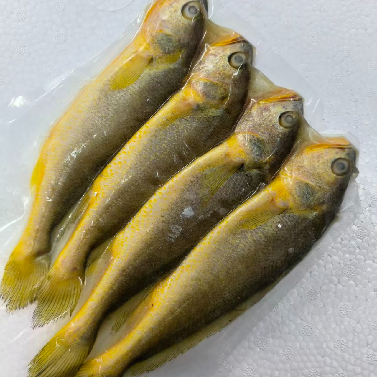 【大表哥1】霞浦原产地新鲜生态黄花鱼贴心去鳞去内脏