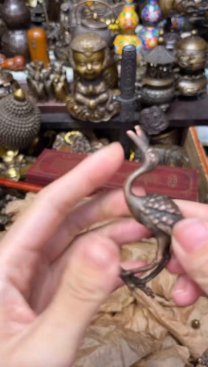 d铜I专属精选链接