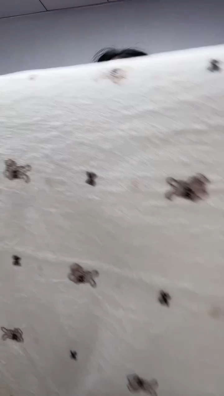 法兰绒1.8x2..5面料尺寸主播介绍为准