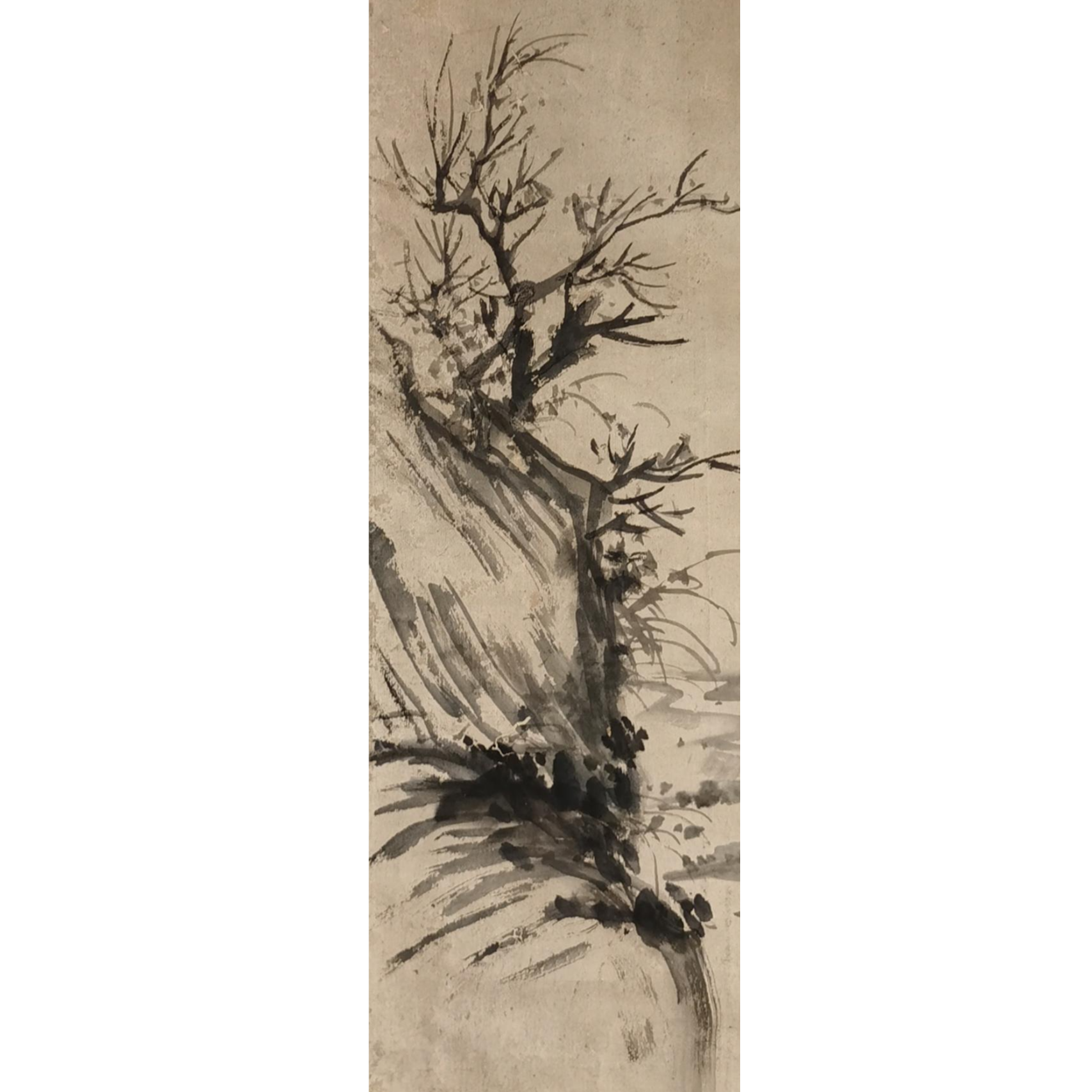 【辽拍】V240729-2-23《花鸟》（2.1平尺) 纸本镜片 DD31