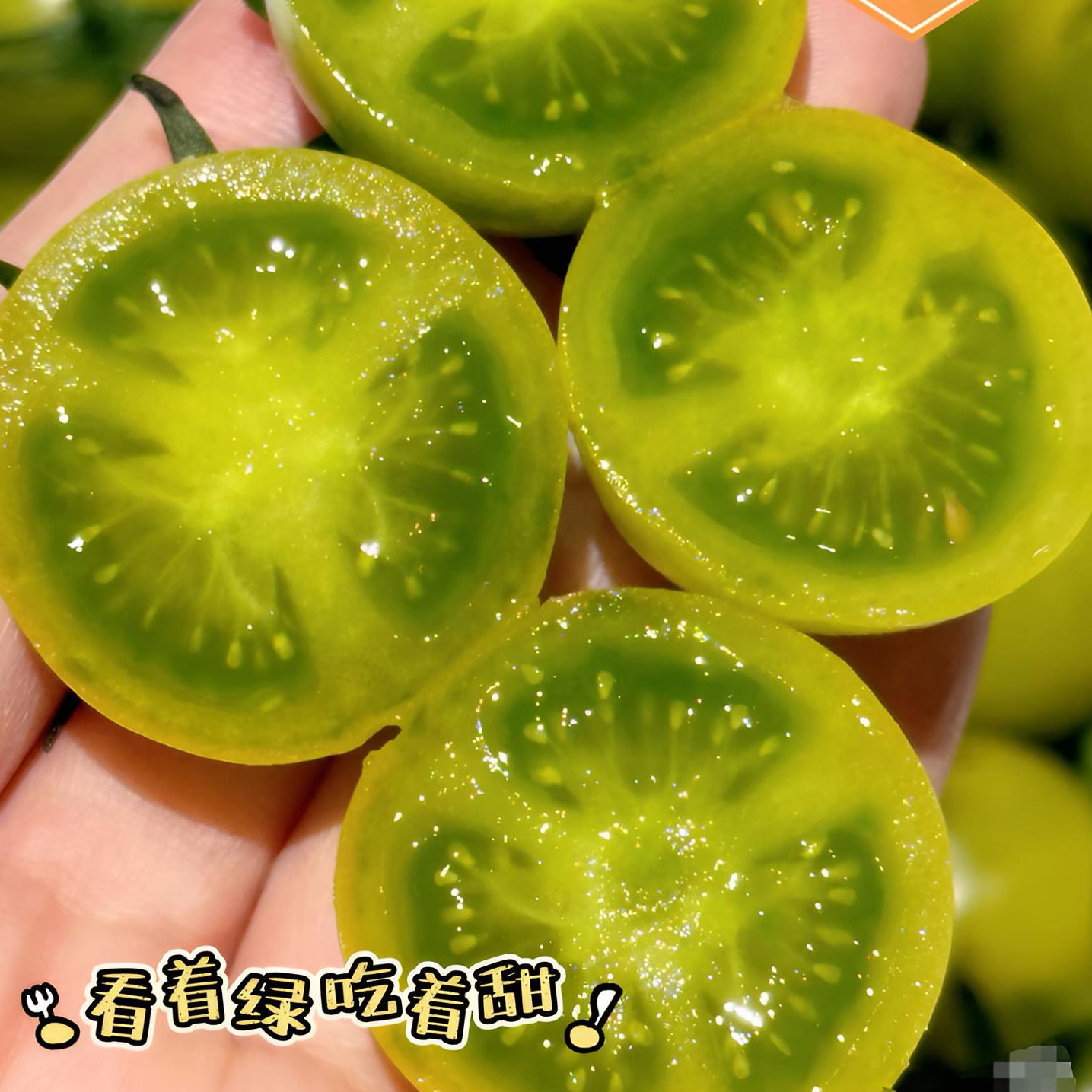【新疆包邮】青甜2号小番茄！清脆爆汁