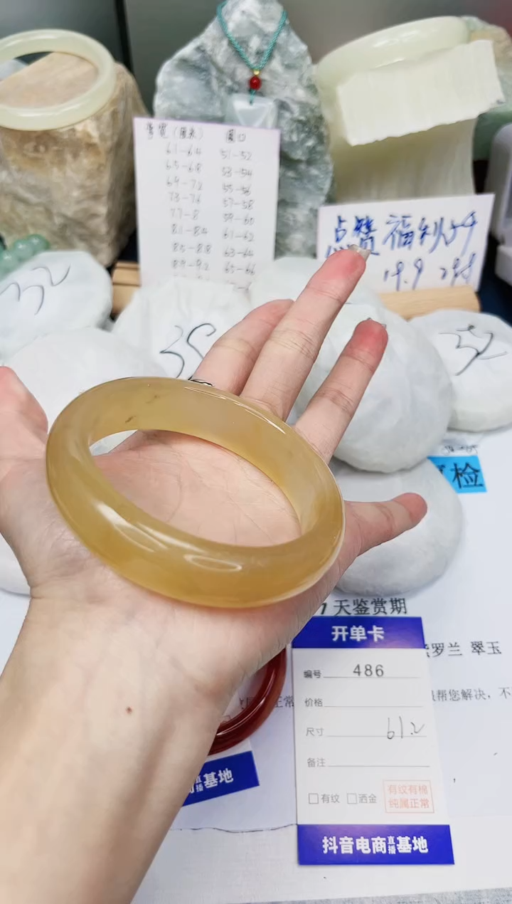 【闪购商品】石英质玉手镯未镶嵌486-财气镯-圈口61